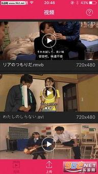 yesee在线视频,探索科技与生活的无限可能