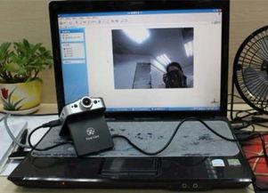 国产dm在线视频