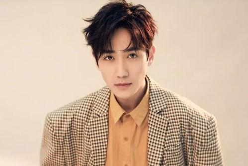 莫柳青在线视频,揭秘成功人士的内心世界与成长历程